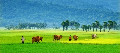 n254 countryside in the summer