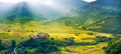 n214 tu le bumper crop in yen bai